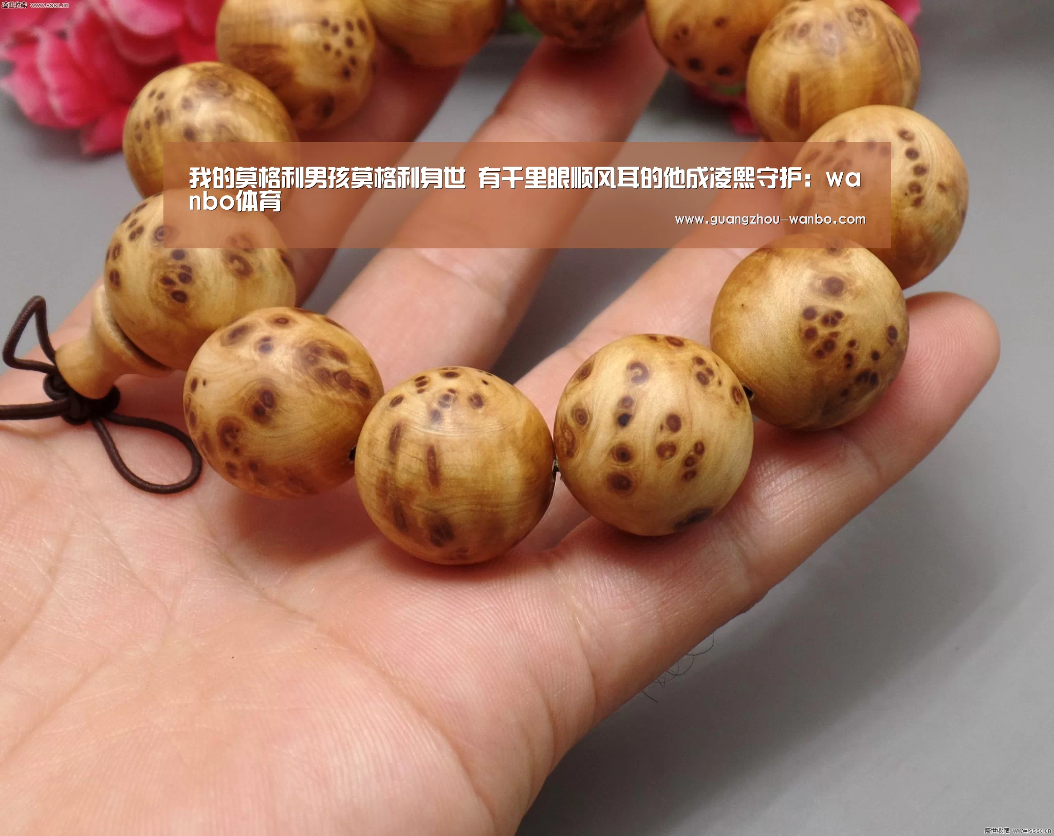 我的莫格利男孩莫格利身世 有千里眼顺风耳的他成凌熙守护：wanbo体育(图2)